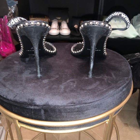 Alexandra Wang - Picture 6 of 6